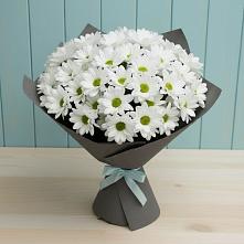 Букет цветов из:  Хризантемы #REPLACE_PRED# Ямкино