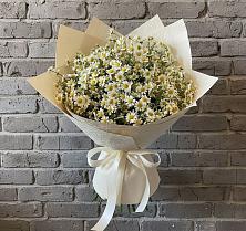 Букет цветов из:  Ромашки #REPLACE_PRED# Ямкино