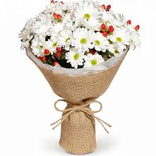 Букет цветов из:  Хризантемы #REPLACE_PRED# Ямкино