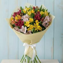 Букет цветов из:  Альстромерии в Ямкино